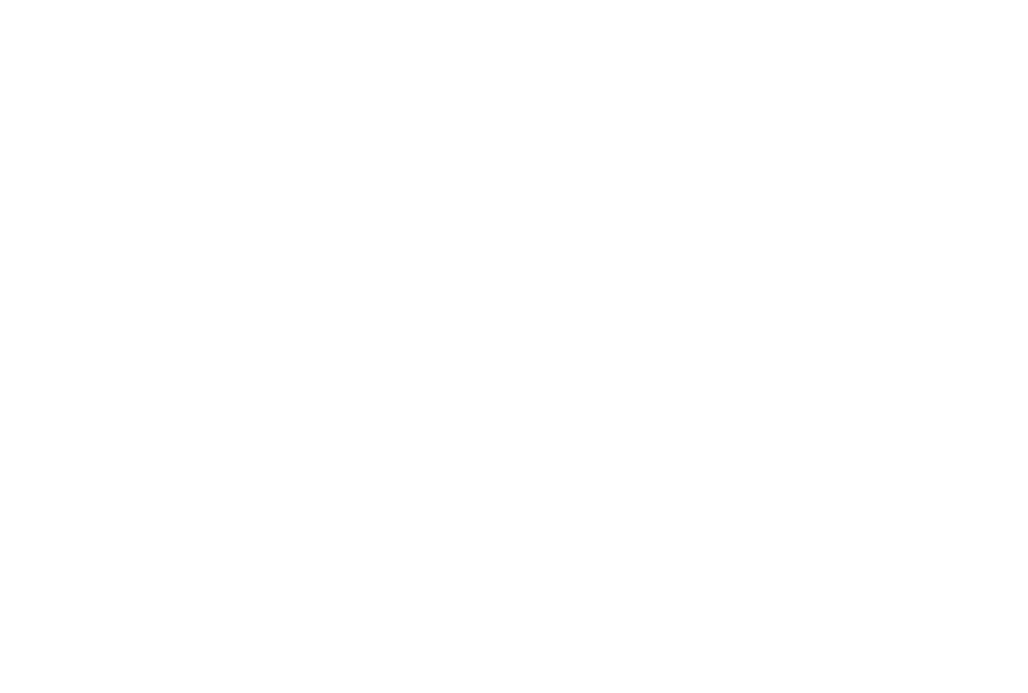 LOGO APUS